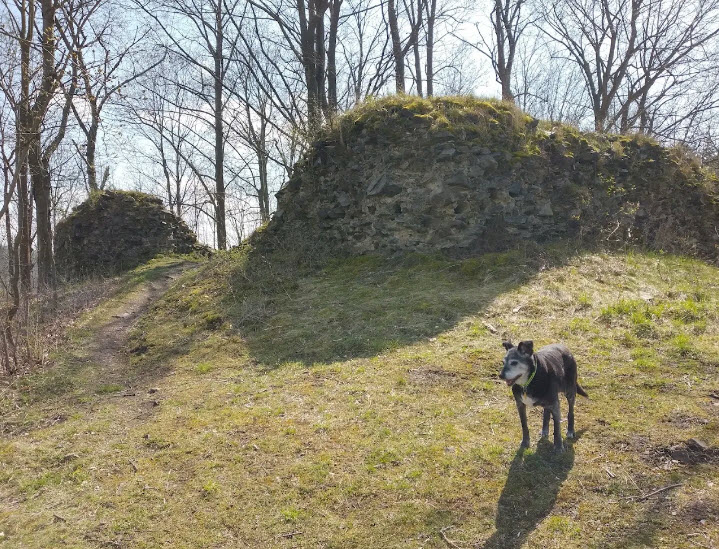 Zřícenina Hradu Kokšín, Czech Republic (Czechia)